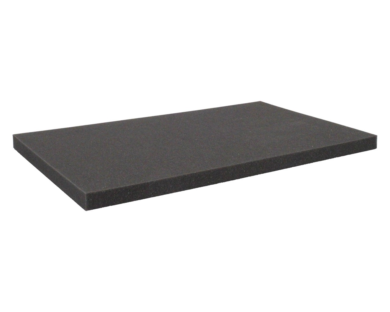 DS025R 25 mm (1.0 Inch) Figure Foam Tray doublesize Raster Foam Trays